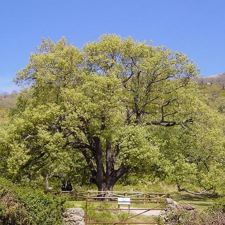 Casa Rural Romanejo Cabezabellosa エクステリア 写真