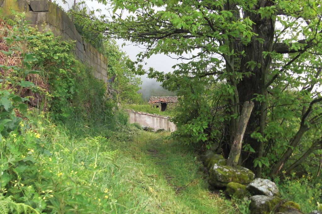 Casa Rural Romanejo Cabezabellosa エクステリア 写真